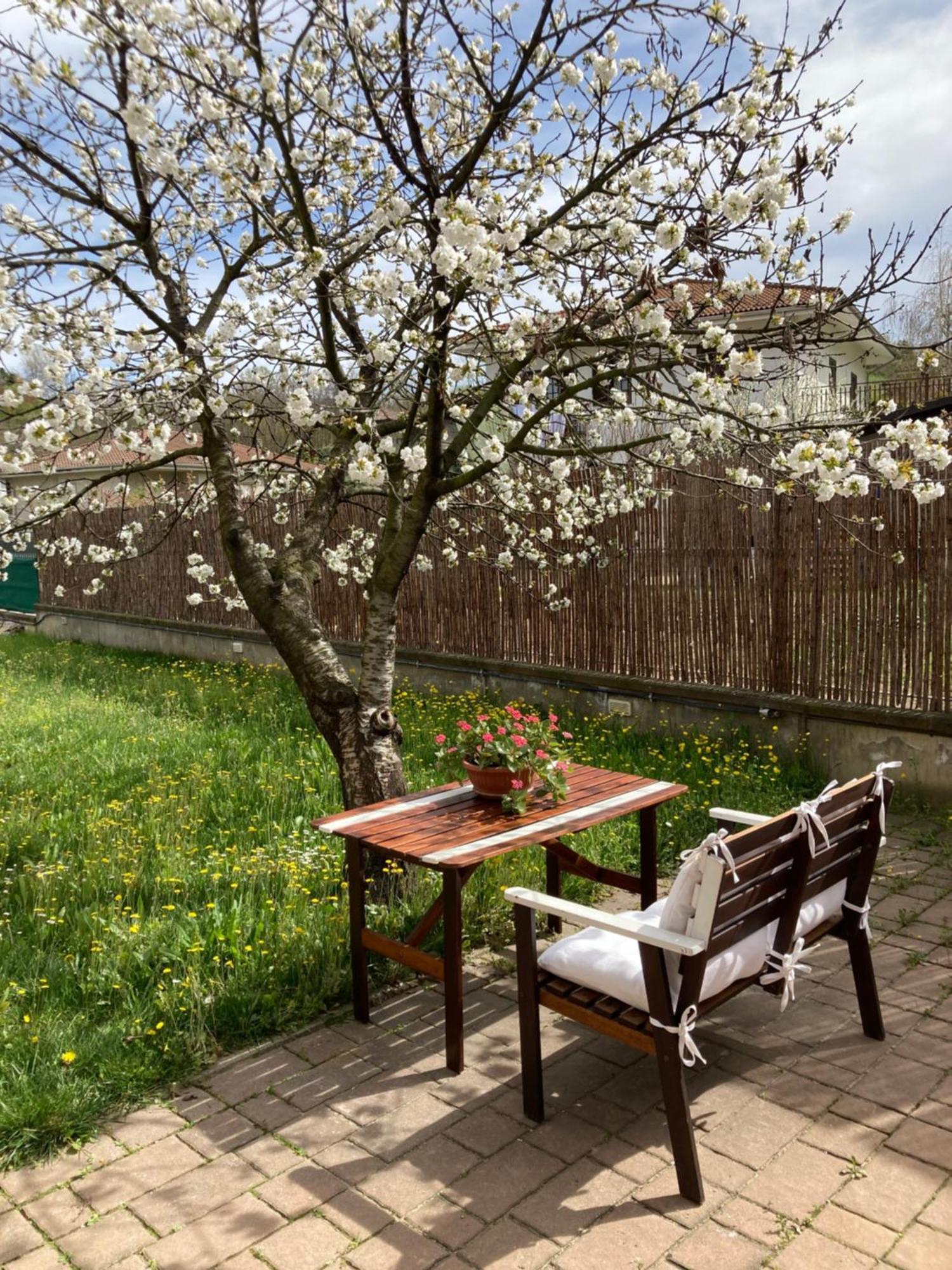 Casa Finestre Bianche Appartement Canelli Buitenkant foto